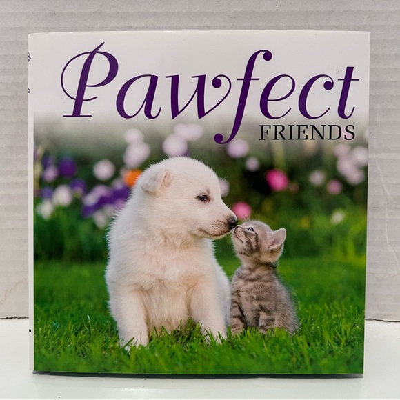 2 HARDCOVER books: Pawfect Friends and Kitty Love: How Cute Kittens Play - Picture 3 of 11
